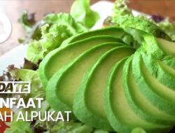Mengulik Khasiat Alpukat Sebagai Kesejaganan Kulit