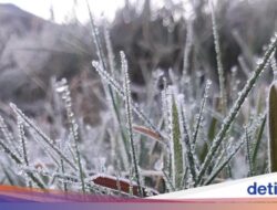 Bagaimana Embun Es Bisa Terbentuk Hingga Dieng? Ini Penjelasannya