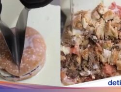 Bikin Mual! Racikan Es Krim Gulung Ini Pakai Beef Burger