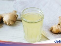 11 Air Rebusan Untuk Asam Urat yang Ampuh Tanpa Efek Di