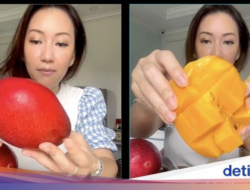 Food Vlogger Cicip Mangga Miyazaki Rp 7,5 Juta, Ini Keistimewaannya