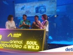 Taman Safari Indonesia Kembali Gelar International Animal Photo & Video Competition 2024, Ada Kategori Mutakhir!