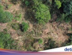 Fakta-fakta Meninggalnya Mahasiswa Unsil Di Gunung Cakrabuana