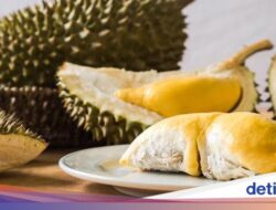 Harga Durian Di Singapura Rp 700 Ribu per Kg, Tetap Laris Manis!