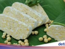 Mari Menempe! Ada Laci Khusus Untuk Simpan Ragi Tempe Asli Indonesia