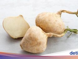 6 Manfaat Buah Bengkoang yang Jarang Diketahui