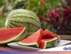 12 Buah-buahan Penambah Darah, Bisa Membantu Mencegah Anemia!