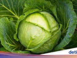 10 Sayuran yang Dapat Menurunkan Kolesterol Sehabis Makan Daging Kurban