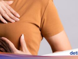 Cerita Di Balik Geger Ikon Seks Hong Kong Asuransikan Payudaranya Rp 41 M