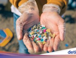 Warga Indonesia Paling Banyak Konsumsi Mikroplastik Di Dunia, Ini Risetnya