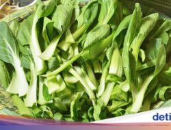 Sederet Manfaat Mengonsumsi Pakcoy, Termasuk Mengurangi Risiko Kanker
