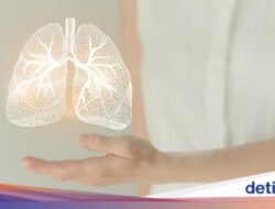 Praktisi Medis Ungkap Tanda Pertanda Paru-paru Kotor dan Cara Alami Membersihkannya
