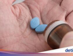 Ilmuwan Temukan Manfaat Ajaib Viagra Sebagai Otak, Tak Cuma Karena Itu Terapi Kuat