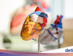 Sering Capek Tanpa Tahu Penyebabnya? Awas Jantung Bermasalah, Ini Kata Ahli Kebugaran