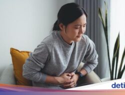 Sudah Makan Teratur Tapi Perut Masih Sering Sakit-Mual, Kenapa Ya Dok?