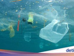 Alert! Studi Temukan Warga RI Termasuk ‘Pemakan’ Mikroplastik Terbanyak Di Dunia