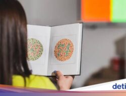 Apakah Buta Warna Bisa Disembuhkan? Ini Penjelasan dan Jenis-jenisnya