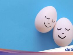 Umur 6 Bulan Kok Testis Tidak Teraba? Ini Wanti-wanti Praktisi Medis Urologi
