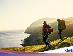 Untuk Tarik Pendatang, Tanah Dijual Seribuan Tiap Meter Di Swedia