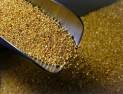 Industri Tambang Sebut Cadangan Emas Makin Sulit Dicari