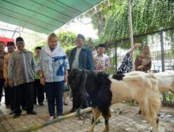 Ini Jumlah Hewan Kurban Pemkot Semarang yang Berencana Dibagikan hingga Daerah Pinggiran