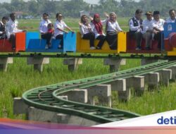 Serunya Naik Kereta Wisata Ke Atas Sawah