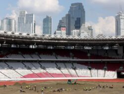 Intip Penampakan Rumput Arena Utama Gelora Bung Karno, Dipermak Habis