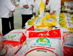 Penanaman Modal Asing Kelaparan Global Hingga Kamboja, Bulog Diingatkan Tetap Utamakan Serapan Beras Petani Lokal