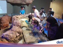 2.000 Orang per Hari Padati Wisata Akuarium Jakarta Ini