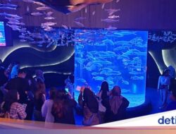 Tiket Mulai Rp 150 Ribu, 2.000 Orang Padati Aquarium Mal Jakarta Ini Tiap Hari