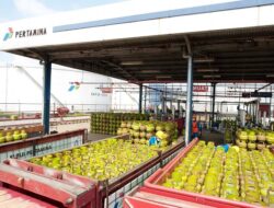 Jelang Idul Adha 2024, Pertamina Patra Niaga Sigap Tambah Solar dan LPG 3 Kg