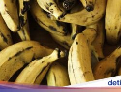 Kenali 5 Jenis Pisang yang Kerap Dijadikan Camilan Manis