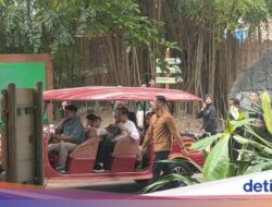 Momen Jokowi Keliling Solo Safari Bersama Jan Ethes dan La Lembah Manah