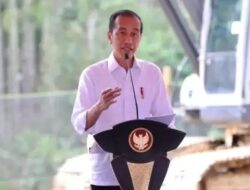 Jokowi Akhirnya Beberkan Alasan Bos-bos IKN Mundur Berjamaah