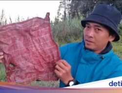 Sudah Berhari-hari Dieng Diselimuti Embun Es, Suhu Minus-Kain Lap Beku