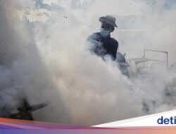 Cuaca Panas, Kemenkes RI Beri Warning Potensi DBD ‘Ngegas’ Lagi Di Juli-Agustus
