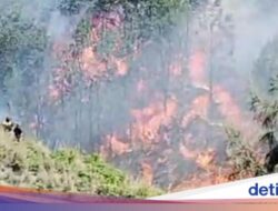 Kawasan Bromo Kebakaran, Lokasi Gunung Batok