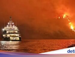 Duh, gegara Kembang Api Didalam Kapal Pesiar Hutan Di Pulau Ini Terbakar