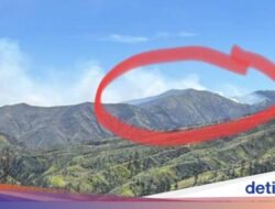Padang Savana Bukit Widodaren Bromo Terbakar