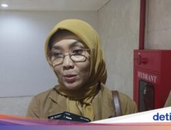 Dinkes DKI Bakal Sebar Nyamuk Wolbachia Untuk Cegah DBD, Ini Lokasi Pertama