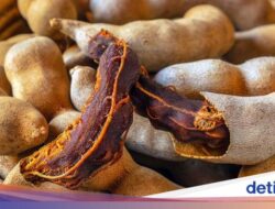 5 Manfaat Sehat Air Asam Jawa, Ampuh Turunkan Berat Badan