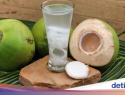 5 Khasiat Sehat Minum Air Kelapa, Sehatkan Tulang dan Cegah Diabetes