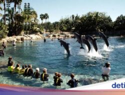 Seorang Anak Sekolah Tewas Di Kolam Renang Taman Discovery Cove AS