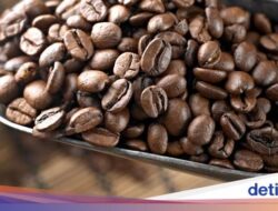 Biji Minuman Espresso vs Biji Minuman Biasa, Sama atau Beda?