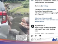 Viral Pengunjung Taman Safari Beri Makan Kuda Nil Plastik Sampah