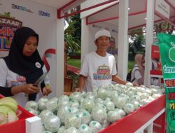 KUR BRI Dorong Kemajuan Klaster Produksi Jambu Kristal Ke Purworejo