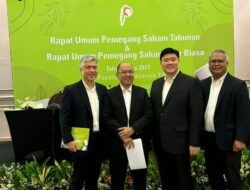 Laba Bersih Paperocks Naik Nyaris 300% Hingga Kuartal I-2024