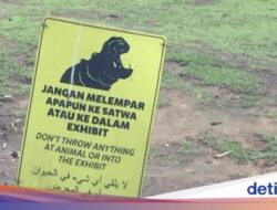 Kenapa Pedagang Diperbolehkan Menjual Pakan Satwa Ke Di Taman Safari?