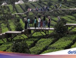 Libur Telah Tiba, Yuk Santai Sejenak Ke Agrowisata Gunung Mas
