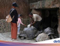 Liburan dan Berinteraksi Di Berbagai Hewan Di Faunaland Ancol
